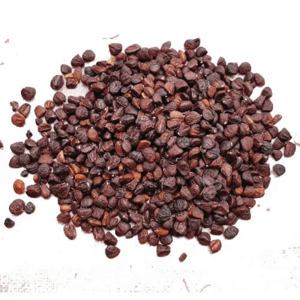 Hạt Dổi 1kg