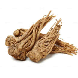 Đương Quy 1kg