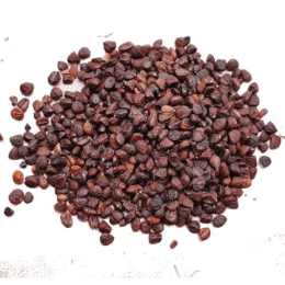 Hạt Dổi 1kg