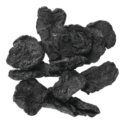 Thục Địa 1kg